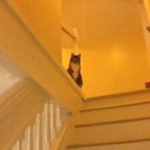 Meet your Posher, Deb